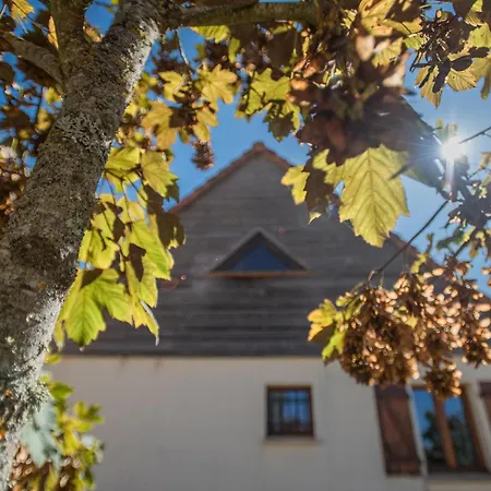 펜션 Le Bleu Nr 27